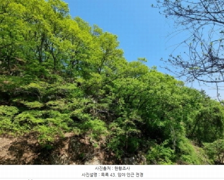2024타경67240 경기도 광주시 퇴촌면 영동리 산65-29 임야 경매 이미지