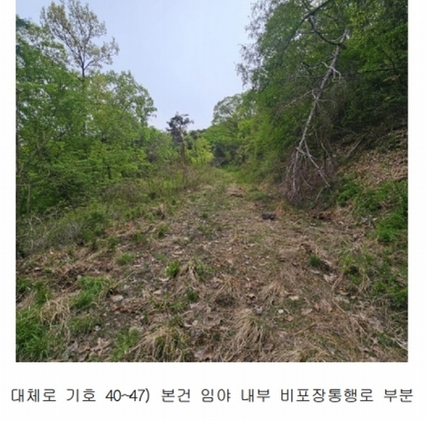 2024타경67240 경기도 광주시 퇴촌면 영동리 산65-29 임야 경매 이미지