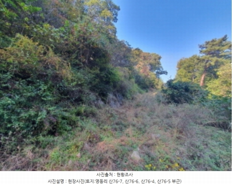 2024타경67240 경기도 광주시 퇴촌면 영동리 산65-29 임야 경매 이미지