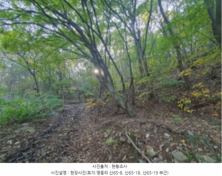 2024타경67240 경기도 광주시 퇴촌면 영동리 산65-29 임야 경매 이미지