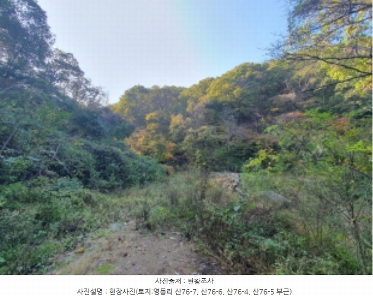 2024타경67240 경기도 광주시 퇴촌면 영동리 산65-29 임야 경매 이미지