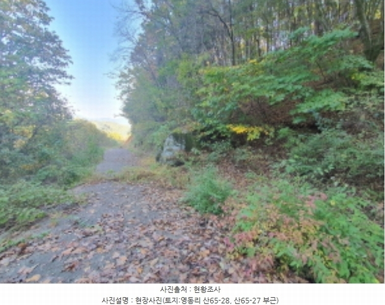 2024타경67240 경기도 광주시 퇴촌면 영동리 산65-29 임야 경매 이미지
