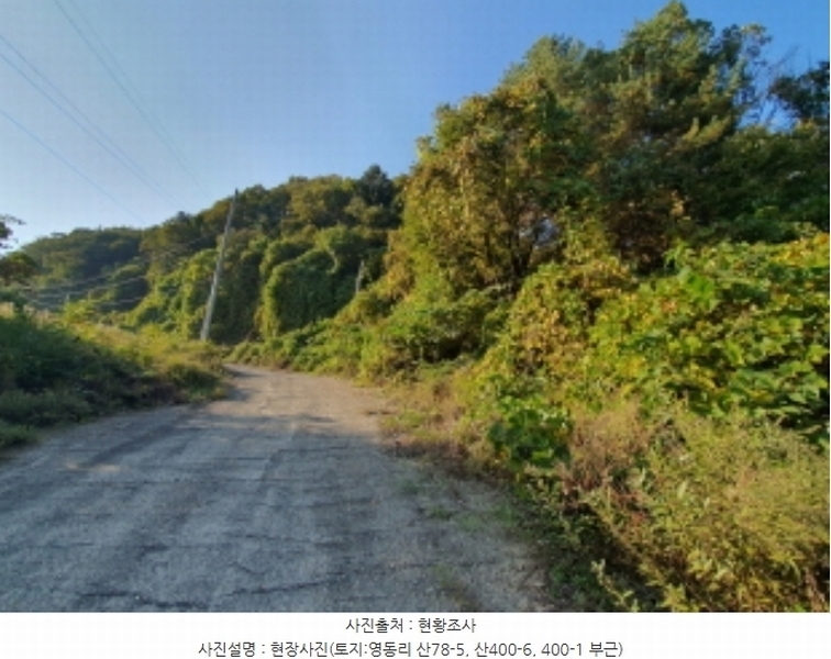 2024타경67240 경기도 광주시 퇴촌면 영동리 산65-29 임야 경매 이미지