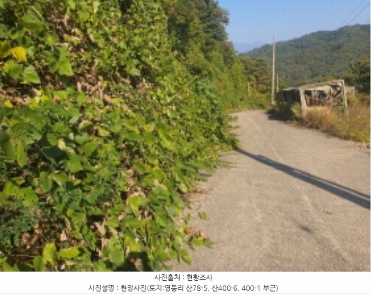 2024타경67240 경기도 광주시 퇴촌면 영동리 산65-29 임야 경매 이미지