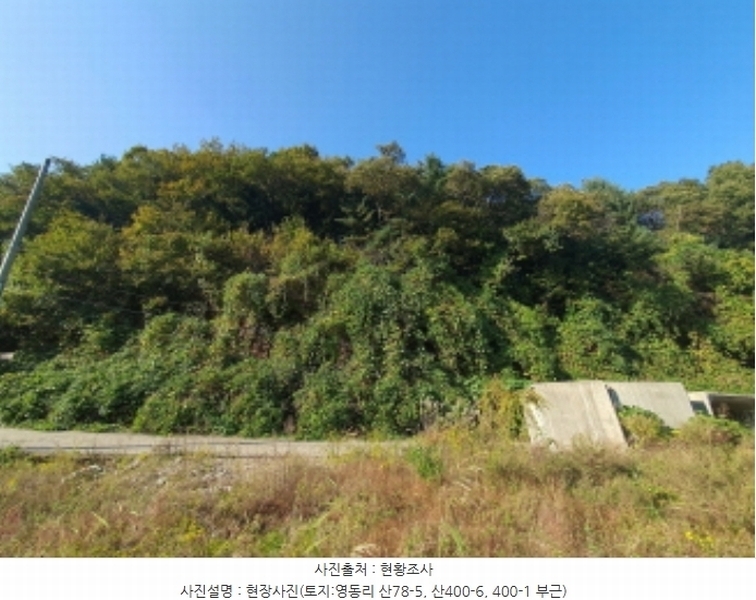 2024타경67240 경기도 광주시 퇴촌면 영동리 산65-29 임야 경매 이미지