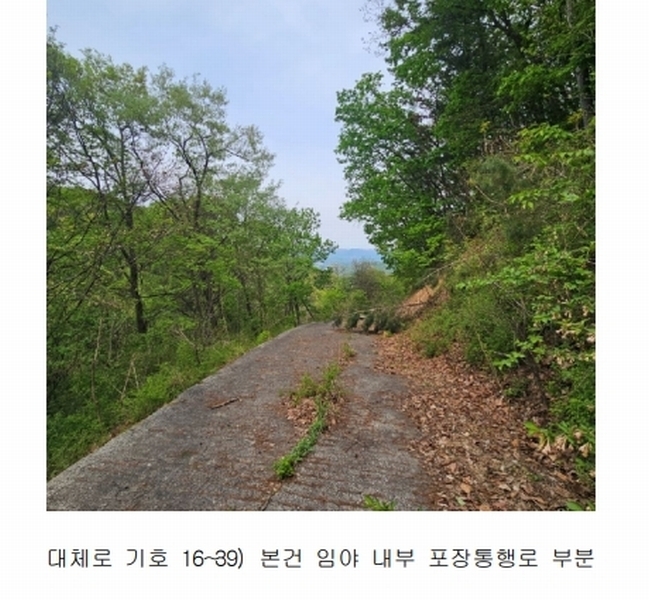 2024타경67240 경기도 광주시 퇴촌면 영동리 산65-29 임야 경매 이미지