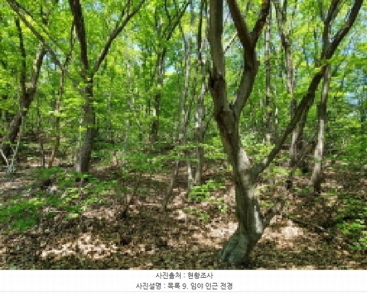 2024타경67240 경기도 광주시 퇴촌면 영동리 산65-29 임야 경매 이미지