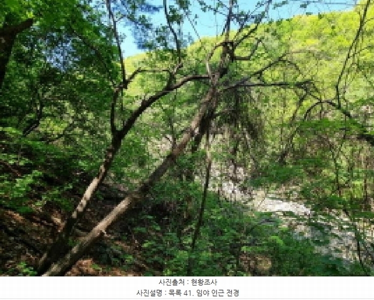 2024타경67240 경기도 광주시 퇴촌면 영동리 산65-29 임야 경매 이미지