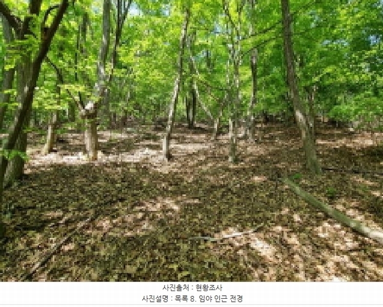 2024타경67240 경기도 광주시 퇴촌면 영동리 산65-29 임야 경매 이미지