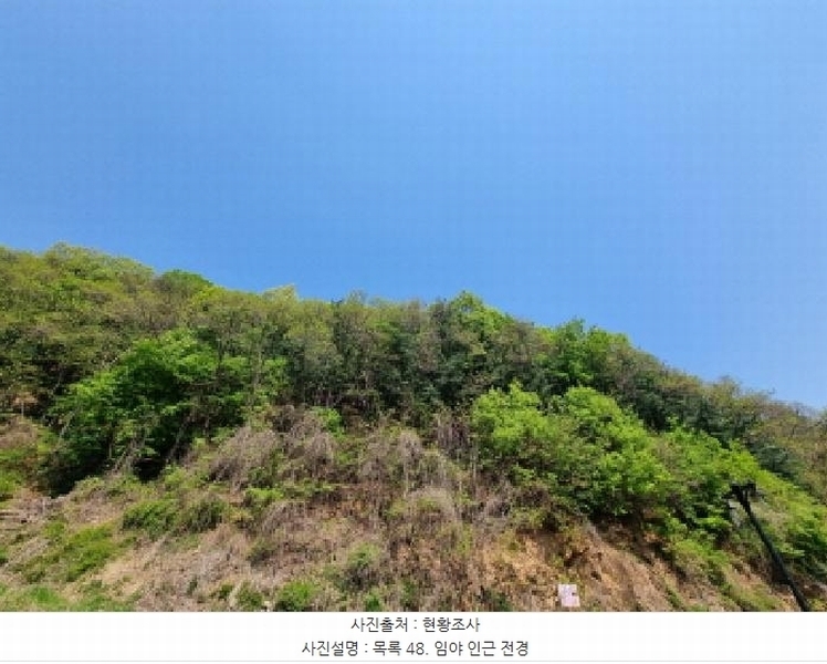 2024타경67240 경기도 광주시 퇴촌면 영동리 산65-29 임야 경매 이미지
