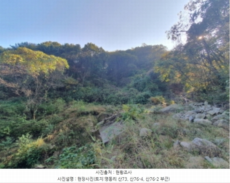 2024타경67240 경기도 광주시 퇴촌면 영동리 산65-29 임야 경매 이미지