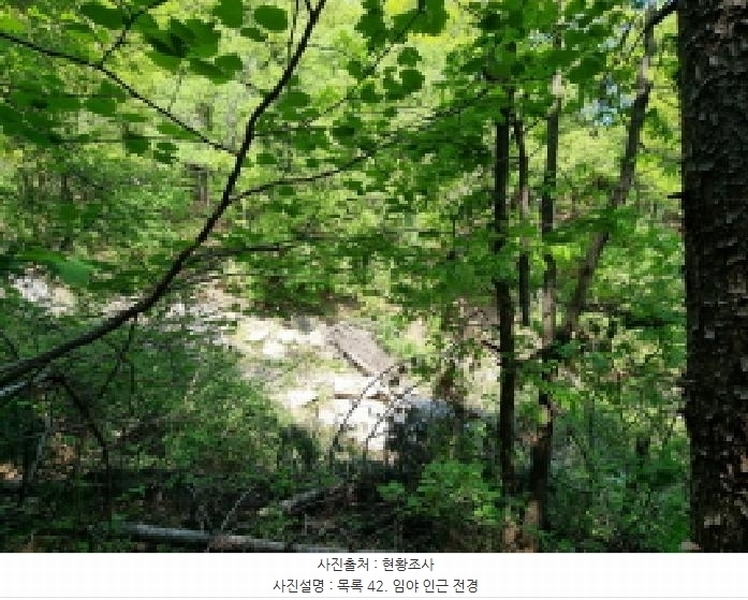 2024타경67240 경기도 광주시 퇴촌면 영동리 산65-29 임야 경매 이미지
