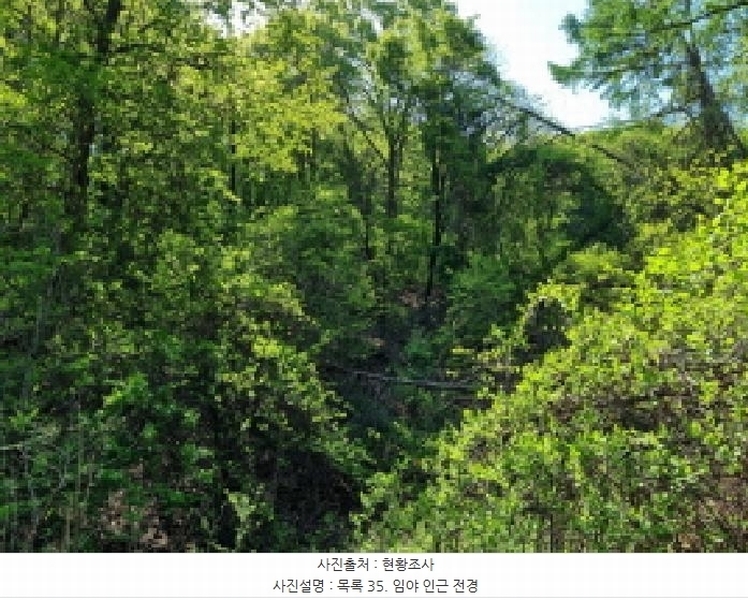 2024타경67240 경기도 광주시 퇴촌면 영동리 산65-29 임야 경매 이미지