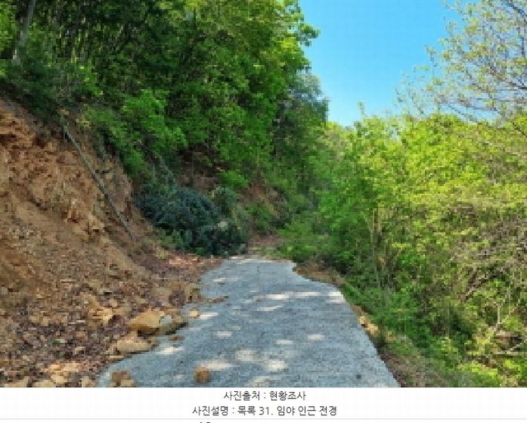 2024타경67240 경기도 광주시 퇴촌면 영동리 산65-29 임야 경매 이미지