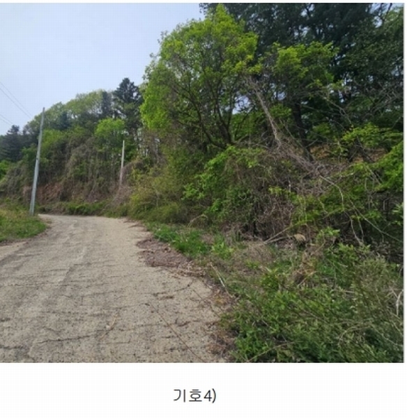 2024타경67240 경기도 광주시 퇴촌면 영동리 산65-29 임야 경매 이미지