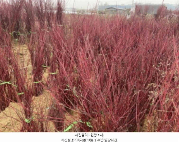 2024타경69857 경기도 하남시 미사동 108-1 농지 경매 이미지