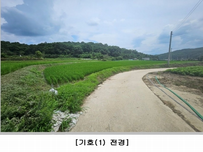2024타경71591 경상북도 상주시 은척면 장암리 60 농지 경매 이미지