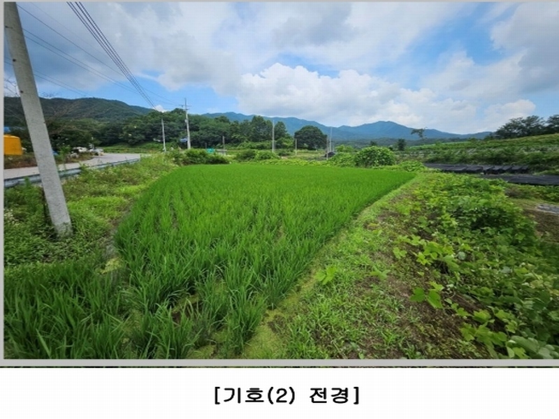2024타경71591 경상북도 상주시 은척면 장암리 60 농지 경매 이미지