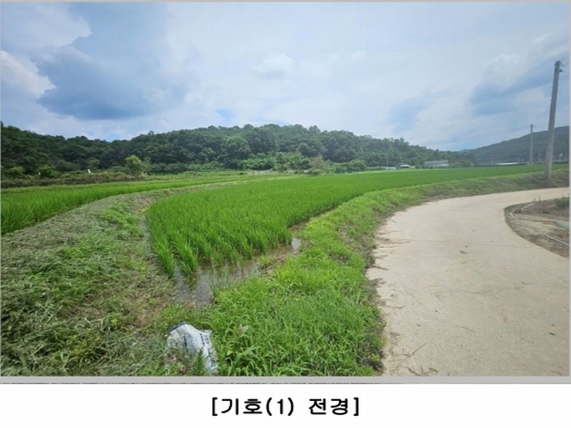 2024타경71591 경상북도 상주시 은척면 장암리 60 농지 경매 이미지