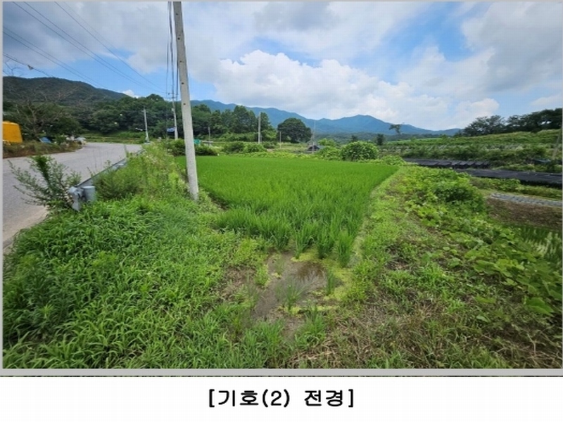 2024타경71591 경상북도 상주시 은척면 장암리 60 농지 경매 이미지