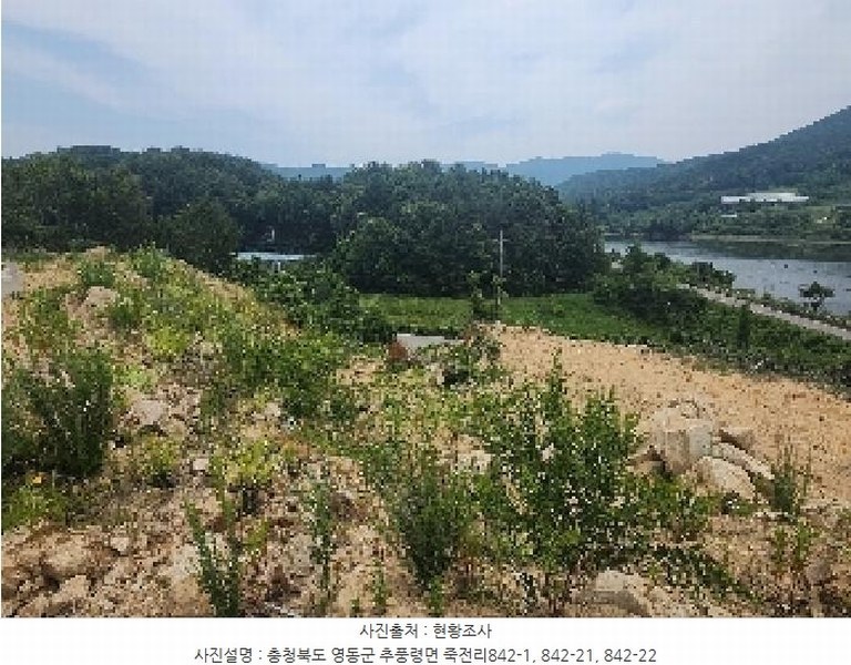 2025타경84 충청북도 영동군 추풍령면 죽전리 842-1 농지 경매 이미지