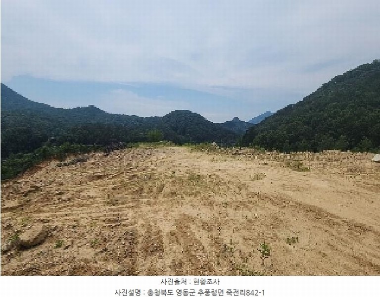 2025타경84 충청북도 영동군 추풍령면 죽전리 842-1 농지 경매 이미지
