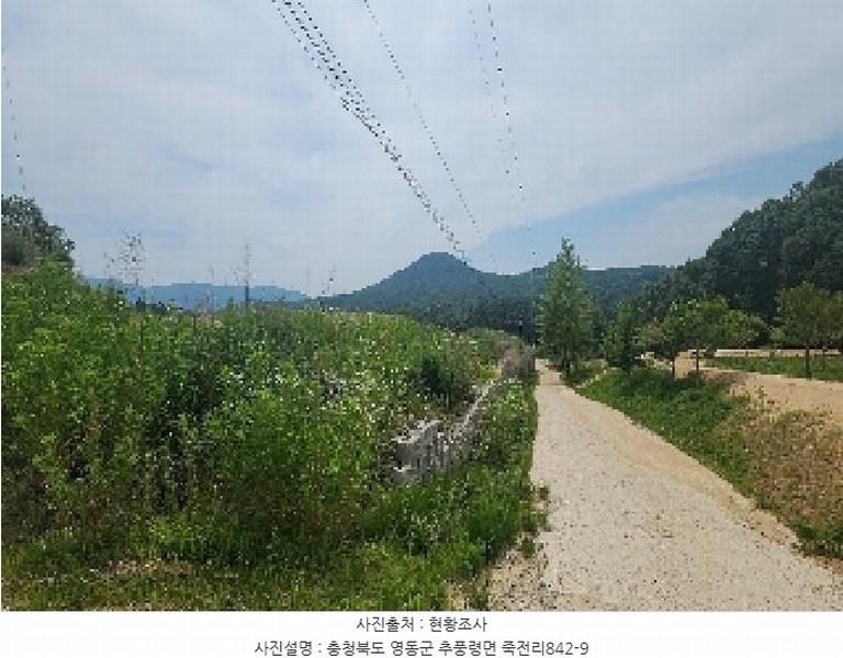 2025타경84 충청북도 영동군 추풍령면 죽전리 842-1 농지 경매 이미지