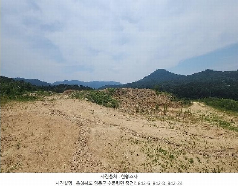 2025타경84 충청북도 영동군 추풍령면 죽전리 842-1 농지 경매 이미지