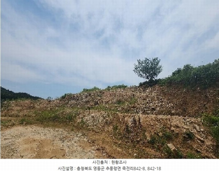 2025타경84 충청북도 영동군 추풍령면 죽전리 842-1 농지 경매 이미지