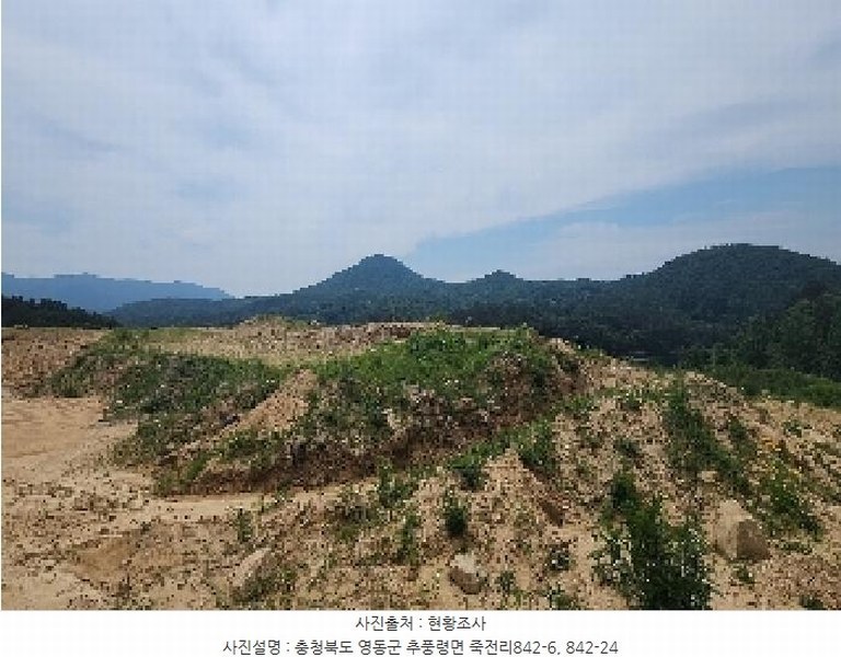 2025타경84 충청북도 영동군 추풍령면 죽전리 842-1 농지 경매 이미지