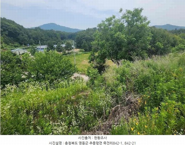 2025타경84 충청북도 영동군 추풍령면 죽전리 842-1 농지 경매 이미지