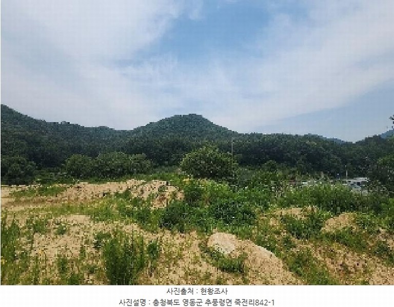 2025타경84 충청북도 영동군 추풍령면 죽전리 842-1 농지 경매 이미지