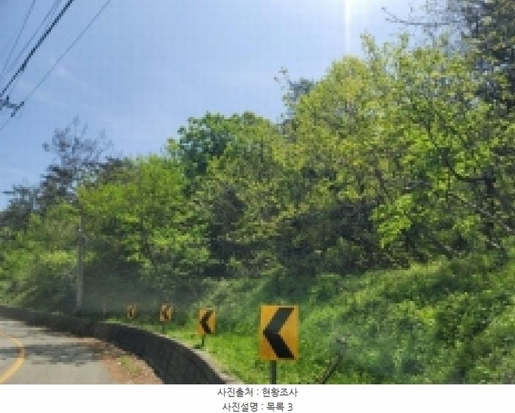 2025타경367 경상남도 통영시 산양읍 신전리 산589-1 임야 경매 이미지