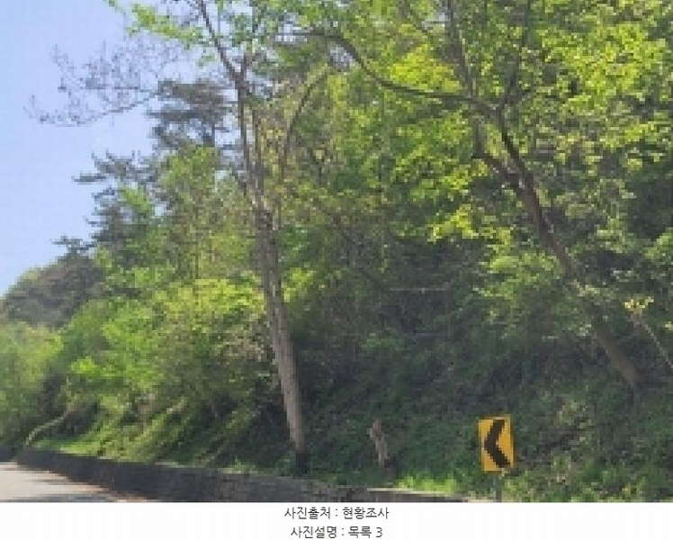 2025타경367 경상남도 통영시 산양읍 신전리 산589-1 임야 경매 이미지