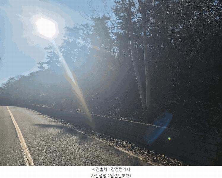 2025타경367 경상남도 통영시 산양읍 신전리 산589-1 임야 경매 이미지