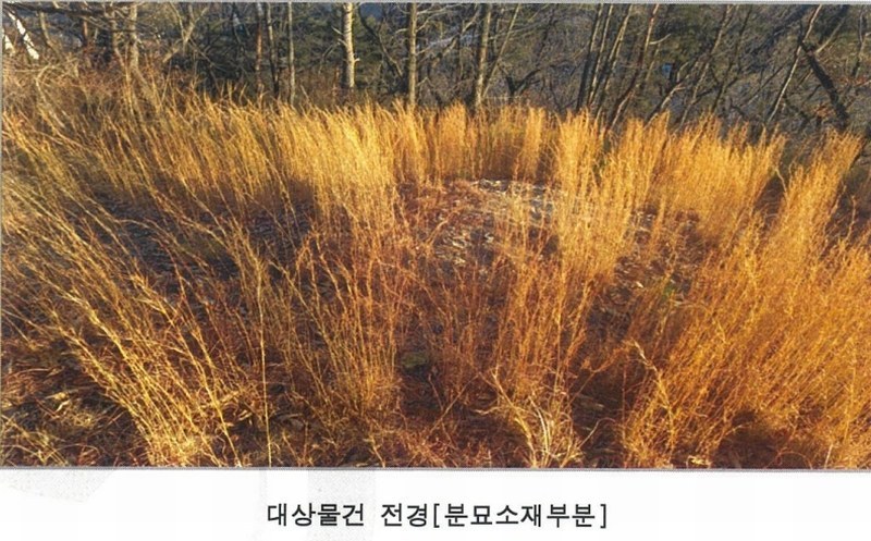 2025타경749 울산광역시 울주군 웅촌면 대복리 31-32 임야 경매 이미지
