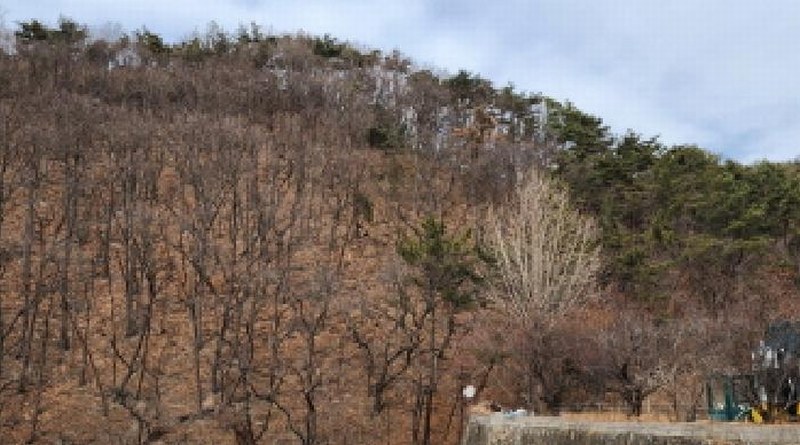 2025타경749 울산광역시 울주군 웅촌면 대복리 31-32 임야 경매 이미지