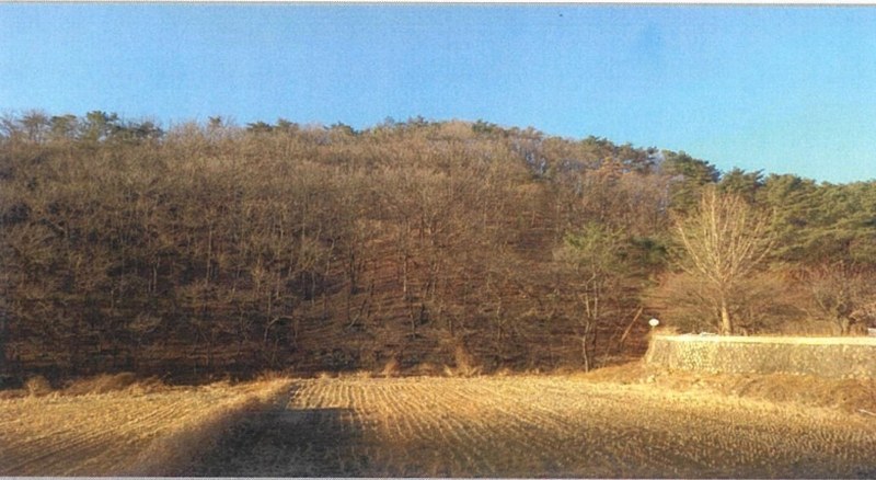 2025타경749 울산광역시 울주군 웅촌면 대복리 31-32 임야 경매 이미지