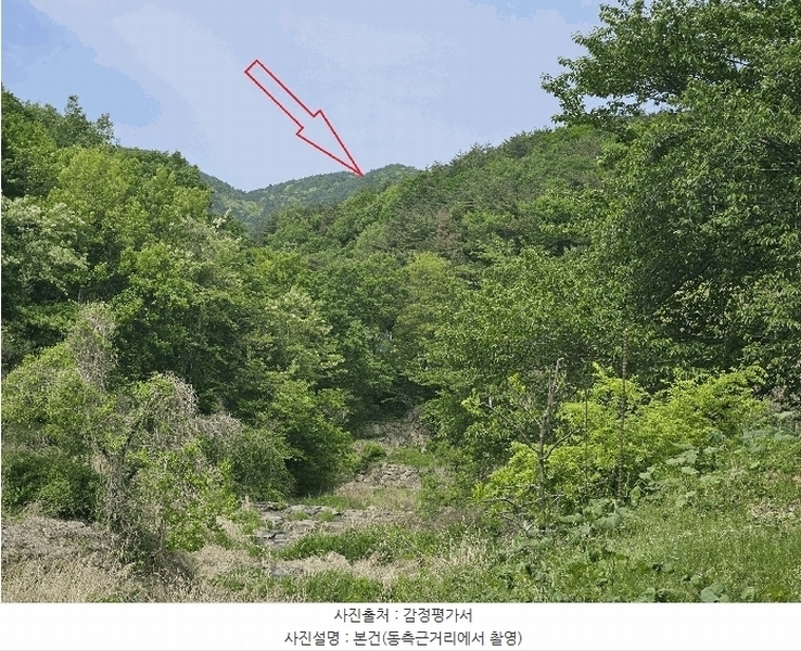 2025타경1100 울산광역시 울주군 웅촌면 은현리 산153-2 임야 경매 이미지