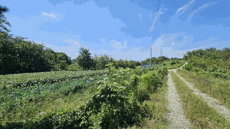 2025타경51660 충청북도 청주시 흥덕구 강내면 사인리 234-6 농지 경매 이미지