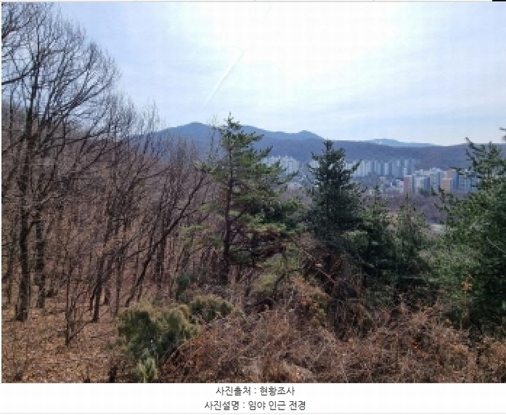 2025타경51743 경기도 광주시 양벌동 산94-4 임야 경매 이미지