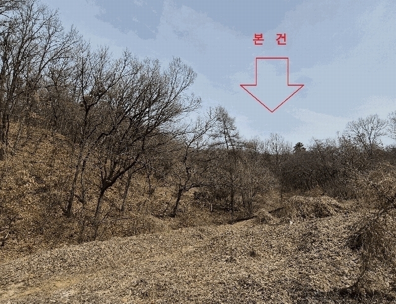 2025타경51743 경기도 광주시 양벌동 산94-4 임야 경매 이미지