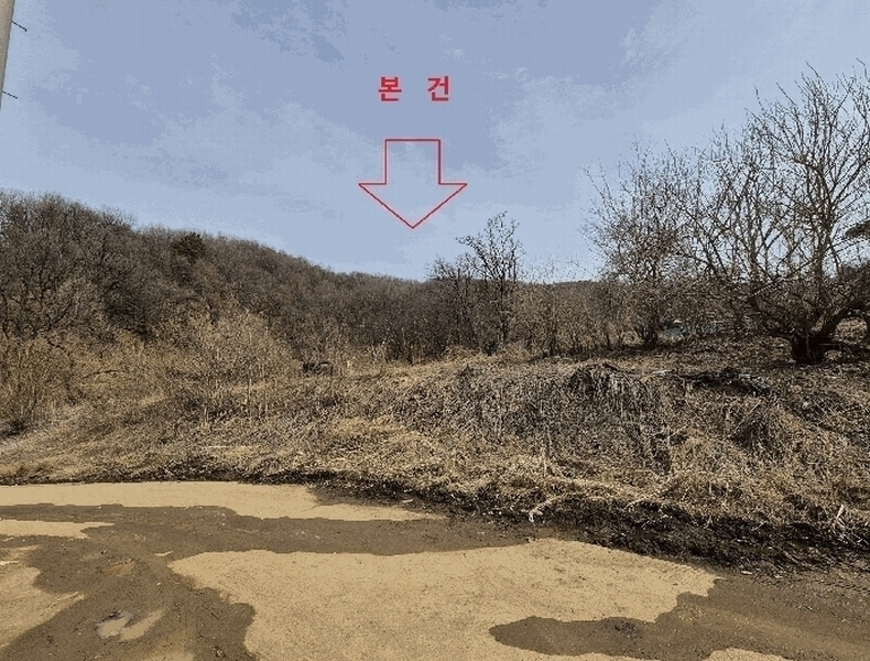 2025타경51743 경기도 광주시 양벌동 산94-4 임야 경매 이미지