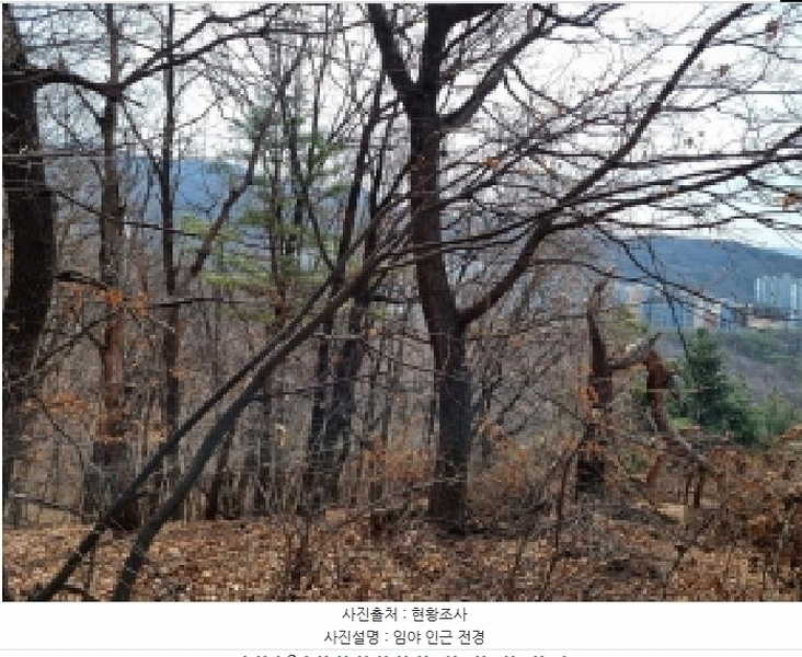 2025타경51743 경기도 광주시 양벌동 산94-4 임야 경매 이미지