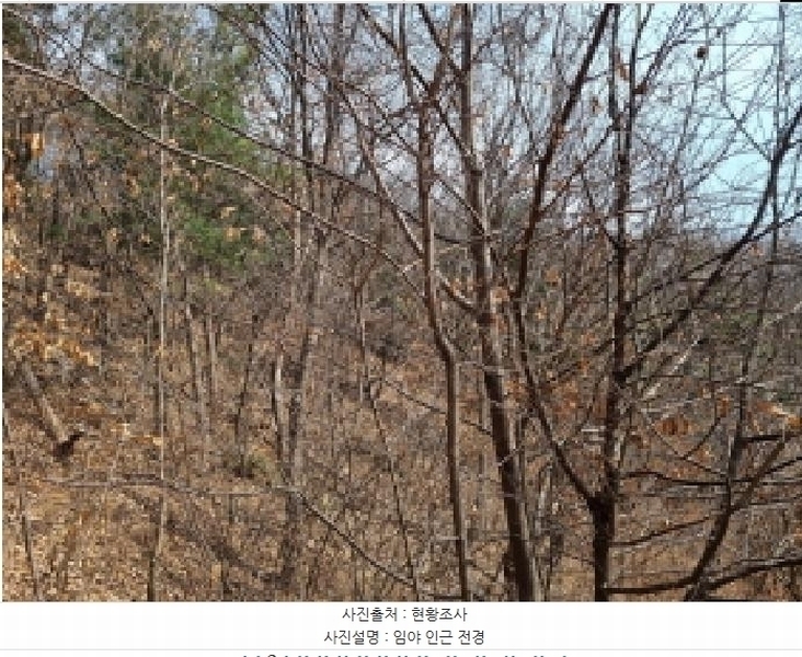 2025타경51743 경기도 광주시 양벌동 산94-4 임야 경매 이미지