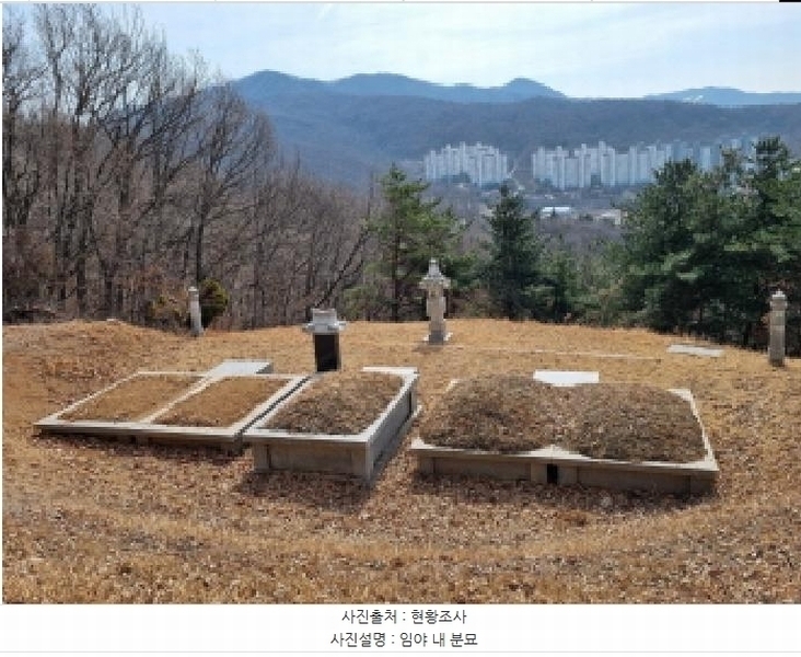2025타경51743 경기도 광주시 양벌동 산94-4 임야 경매 이미지