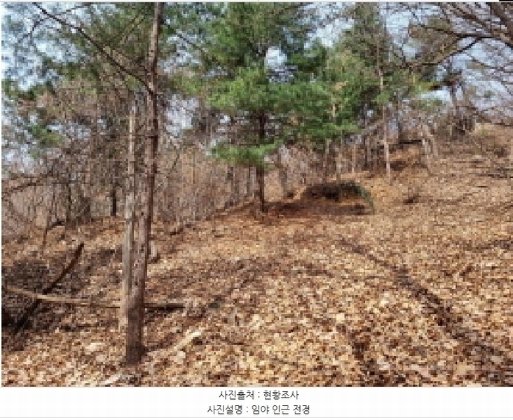 2025타경51743 경기도 광주시 양벌동 산94-4 임야 경매 이미지