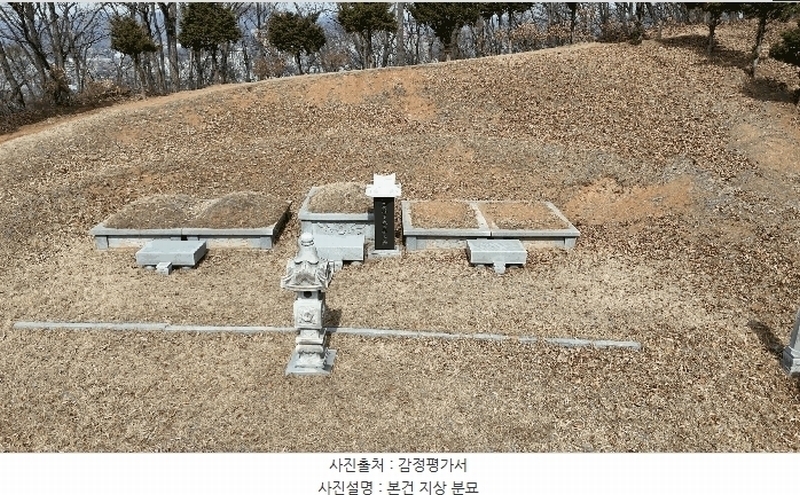 2025타경51743 경기도 광주시 양벌동 산94-4 임야 경매 이미지