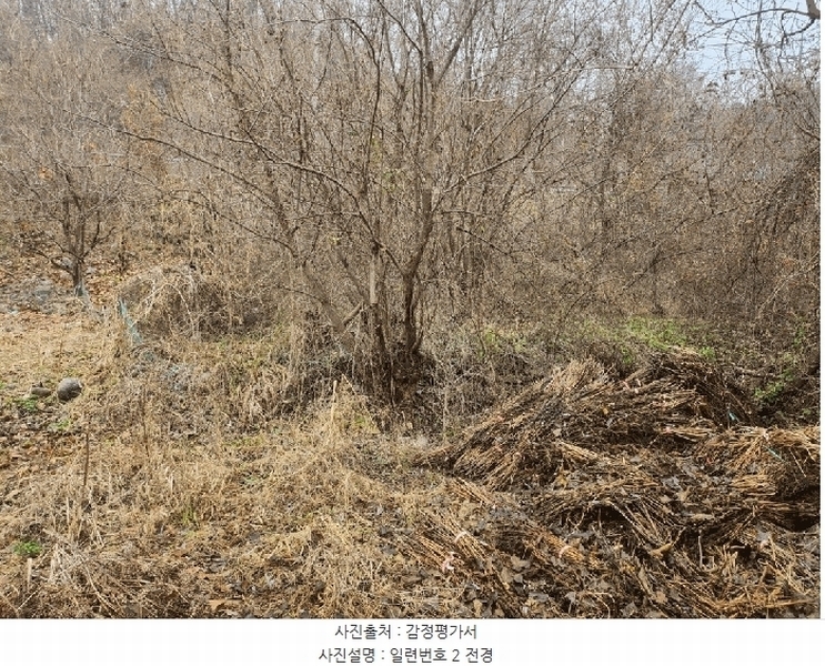 2025타경52030 충청북도 괴산군 괴산읍 서부리 67 농지 경매 이미지
