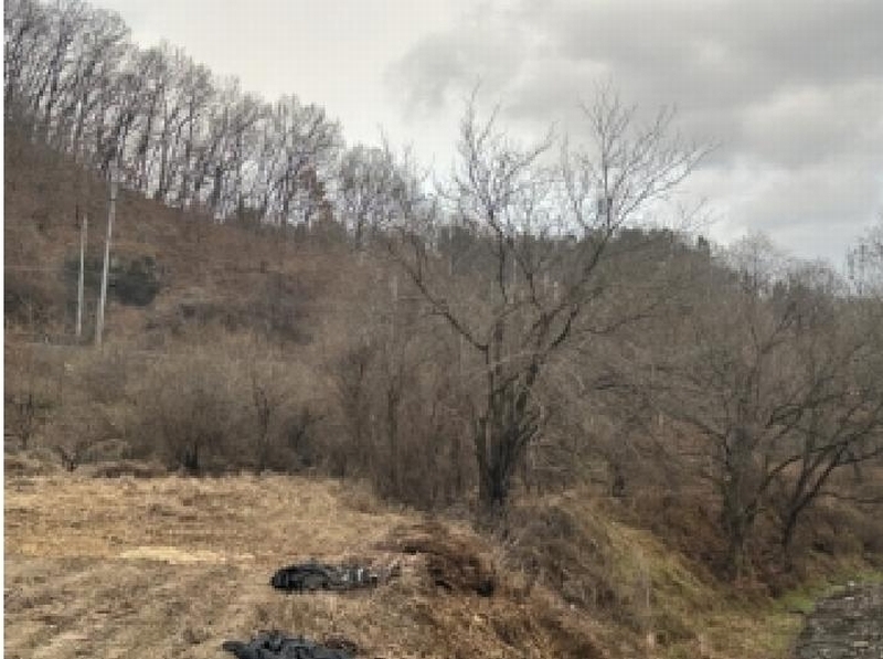 2025타경52030 충청북도 괴산군 괴산읍 서부리 67 농지 경매 이미지